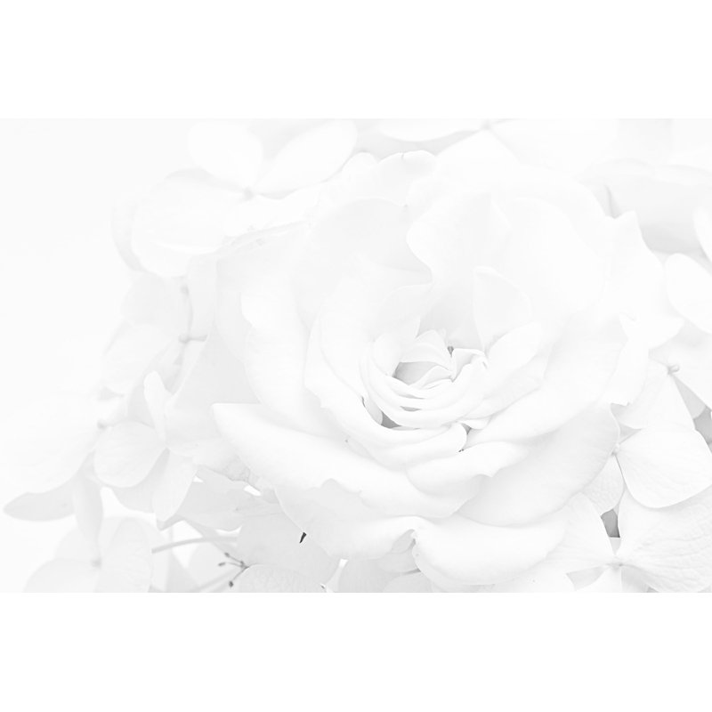 Wrapped Canvas Print, 66cm H x 45cm W x 2cm D