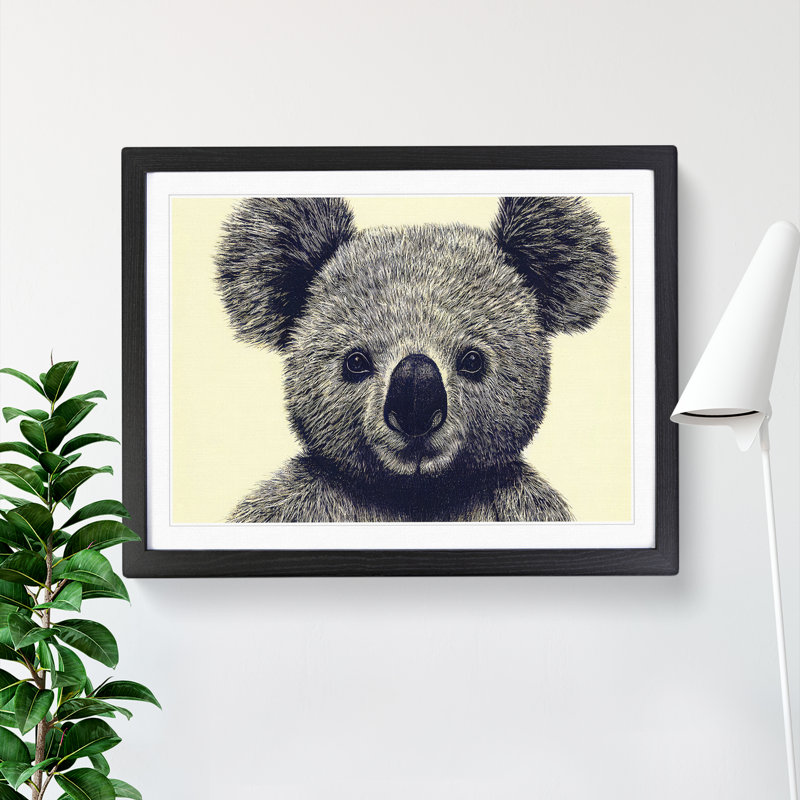 Flawless Koala Bear - Single Picture Frame Print, Black, 46cm H x 64cm W x 2cm D