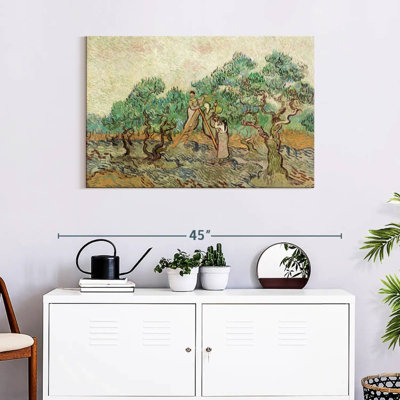 Senne The Olive Orchard
