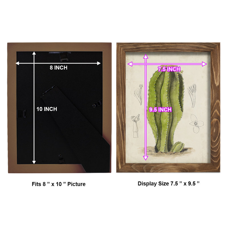 Antique Cactus VI - reproduction de cadre photo simple, H 11 po x l 9 po x P 1 po, Noyer
