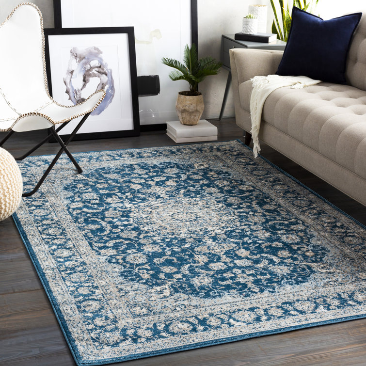 Kucera Oriental Indoor Rug