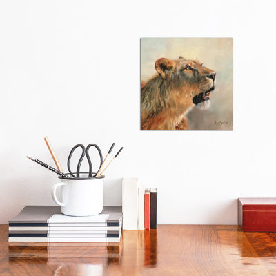 Lioness Portrait II by David Stribbling - Wrapped Canvas Painting