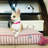 Crin Striped Pet Bed-448056849