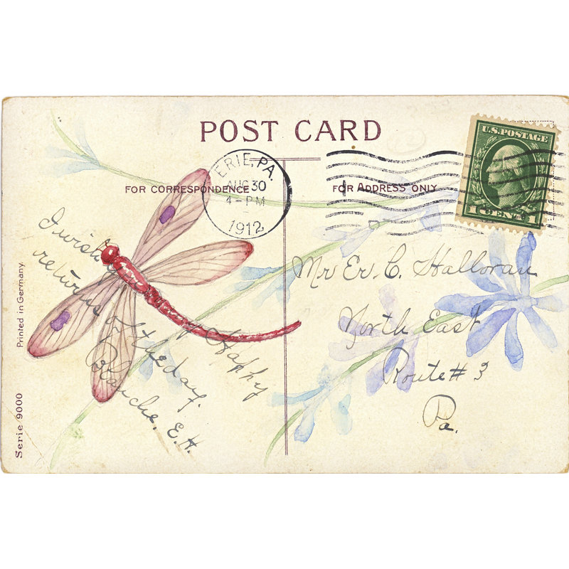 Postcard Dragonfly IV by Nancy Shumaker Pallan - Wrapped Canvas Art Prints, 30cm H x 46cm W x 3.8cm D