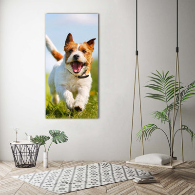 Dog Jack Russell - Wrapped Canvas Print