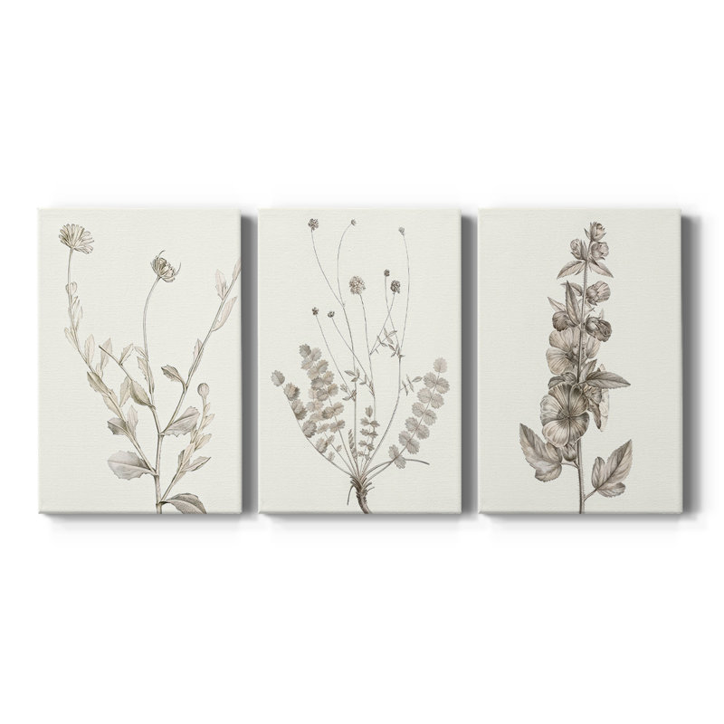 Neutral Botanical Study IV - Toile tendue sur mesure avec châssis - 3 pièces, H 12 po x l 24 po
