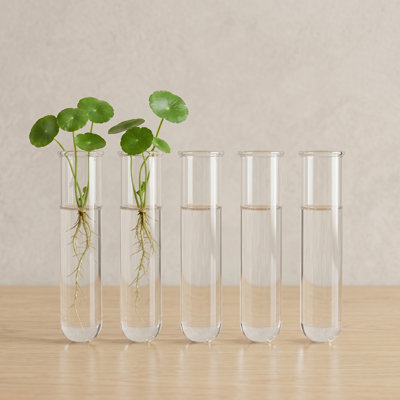 Five-Tube Tiered Clear Glass Test Tube Wall Planter, Terrarium for Home Office Plant Hanger Flower Vases, Designed for Hydroponic Cuttings