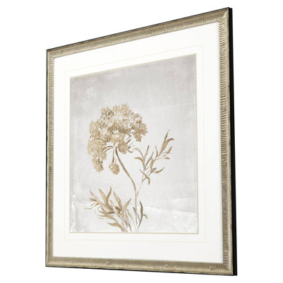 «Delicate Beauty II» par Loreth - reproduction d'un seul cadre