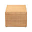 Table basse (table basse incluse seulement)