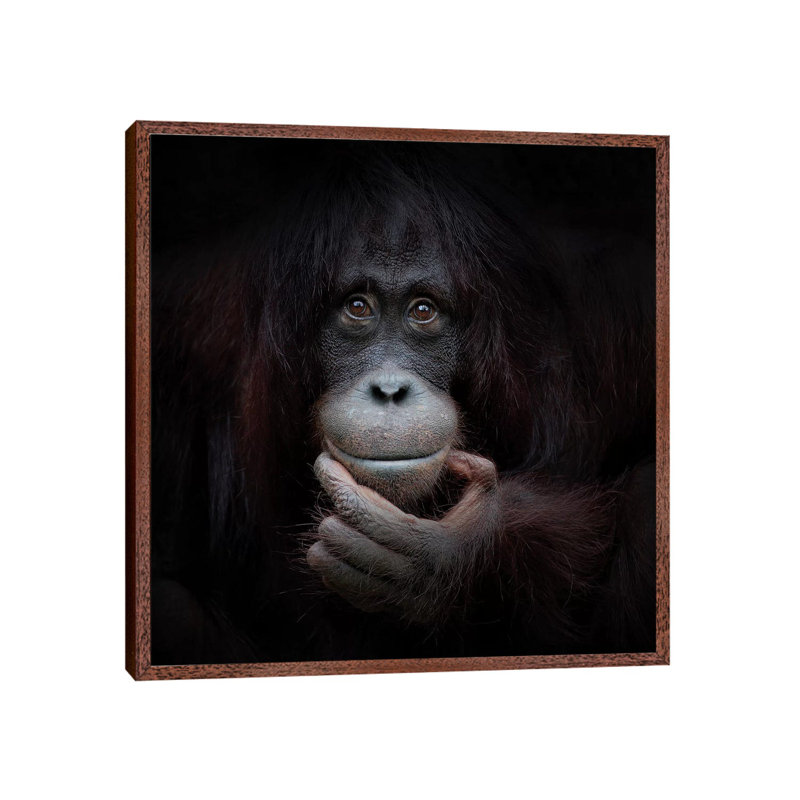 The Mirror Image by Antje Wenner-Braun - Print on Canvas, 93.98 cm H x 93.98 cm W, Classic Brown Wood Framed