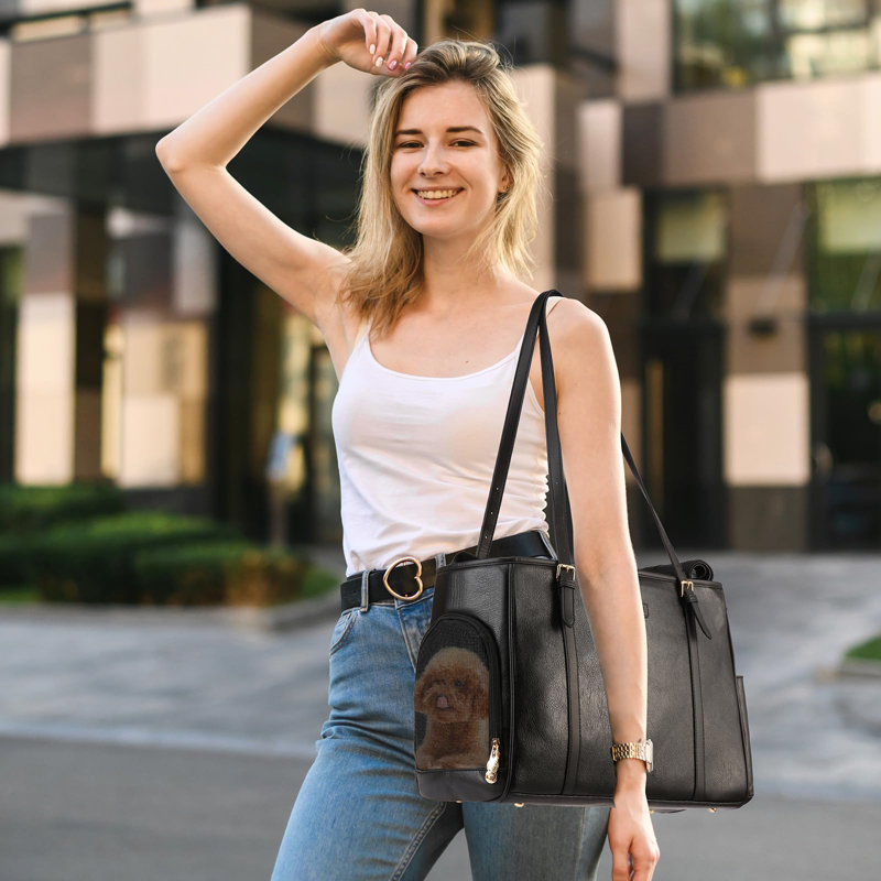 Pet Carrier, Black