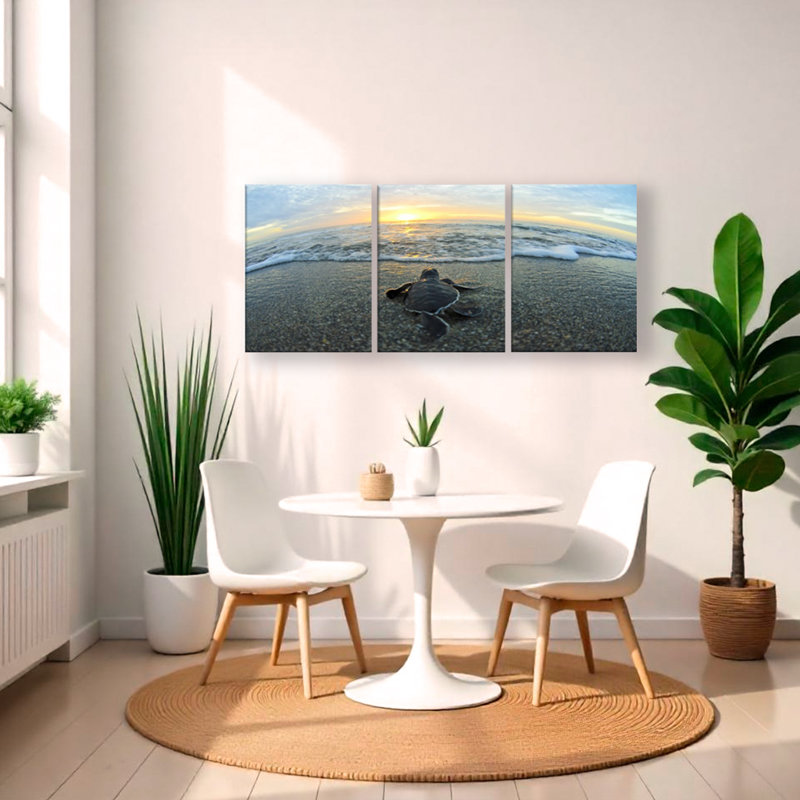 Tortue par Chris Doherty - ensemble de 3 reproductions de photos sur toile, H 30 po x l 60 po, Toile tendue, No Mat