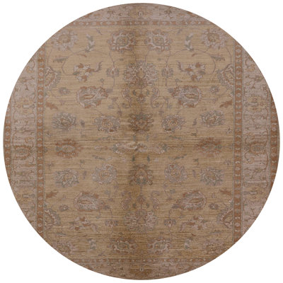 Barrow Oriental Indoor Rug