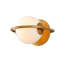 Everley 1-Light Armed Sconce