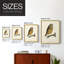 French Owls II, reproduction encadrée - bois massif-307534262