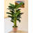 65'' Faux Banana Leaf Tree in Pot