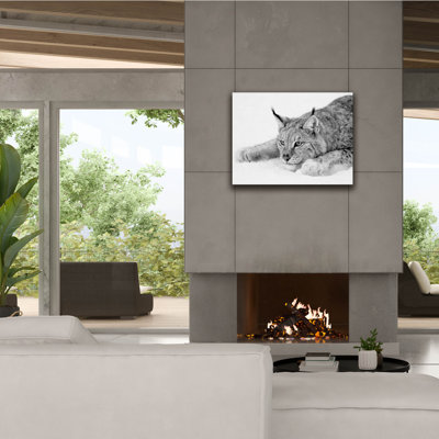 " Lynx 1 " by PhotoINC Studio