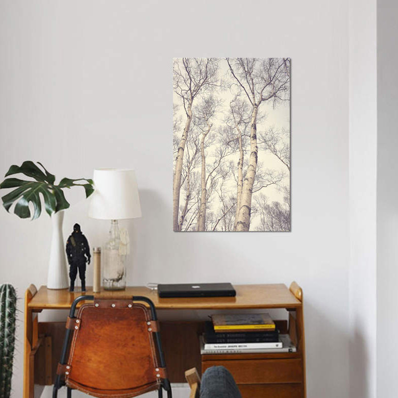 " Birch Trees " Graphic Art Print, 12" H x 8" W x 0.75" D, Wrapped Canvas, No Mat