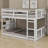 Bunk Bed With Ladder-1911144937-1911144938