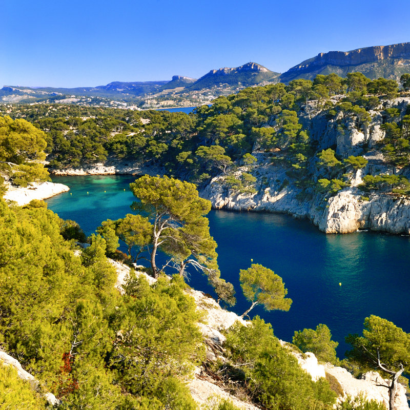 Cassis sur toile par Ventdusud, photographie, L 12 po x H 12 po