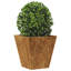 Aldegundo Metal Elevated Planter-239364022-239364017