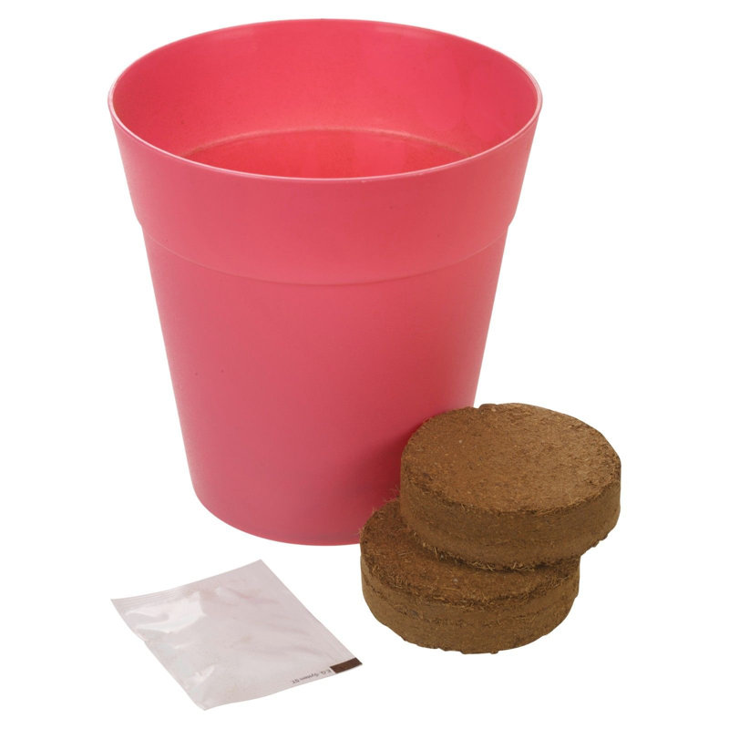 Kaylee Pot Planter, Pink