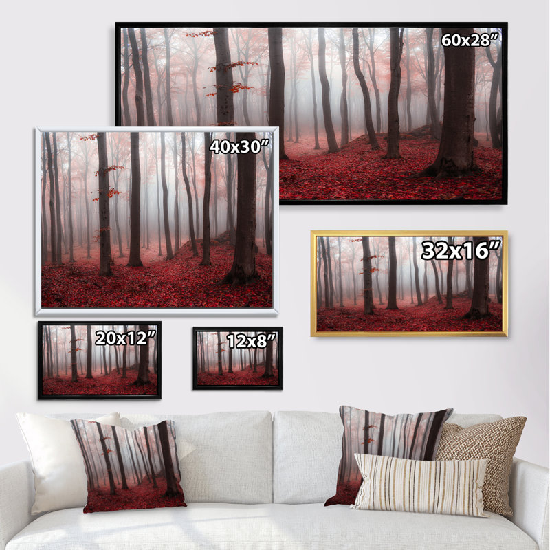 «Foggy Morning Red Forest III» - photographie sur toile, H 24 po x l 36 po x P 1 po, Cadre brun