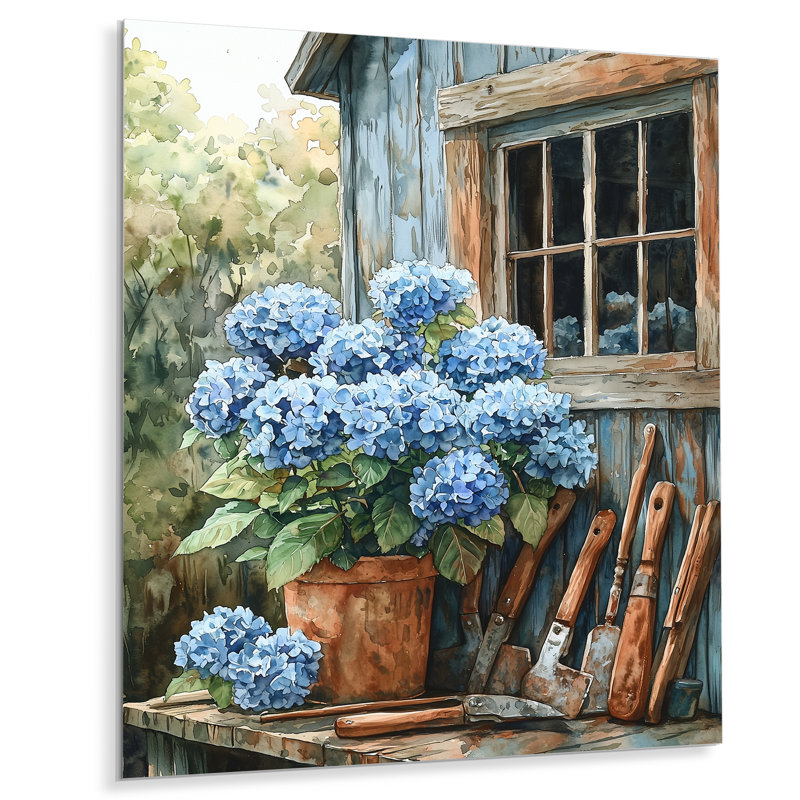 Hydrangeas by the Garden Shed - Hydrangea, impression murale sur métal, H 20 po x l 12 po
