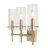 Chuperosa Bohemian Farmhouse Iron/Glass LED Vanity-67637908-119338788