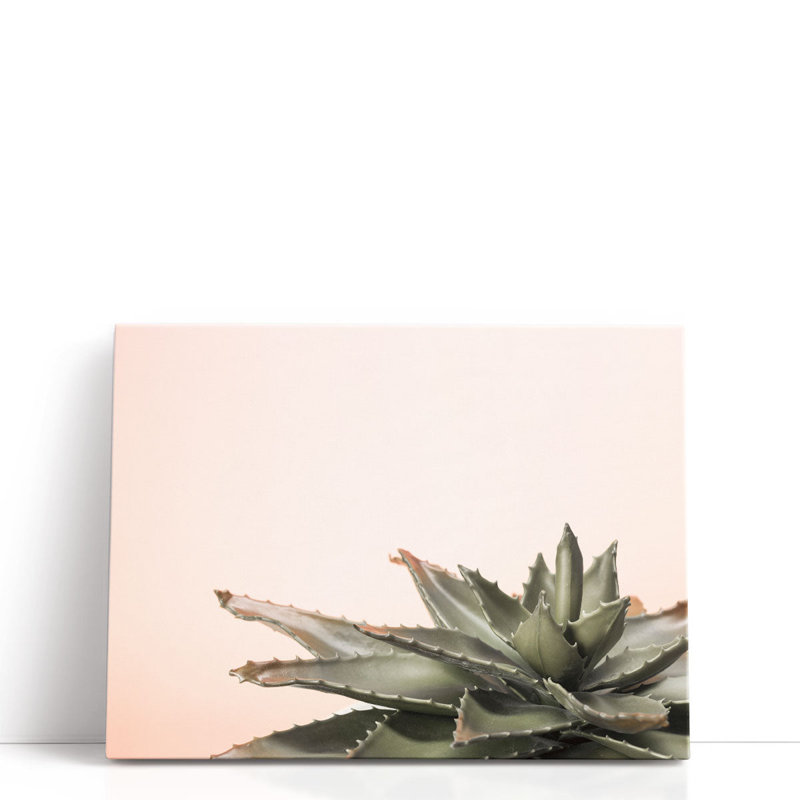 Cactus - reproduction d'art sur toile, H 12 po x l 16 po
