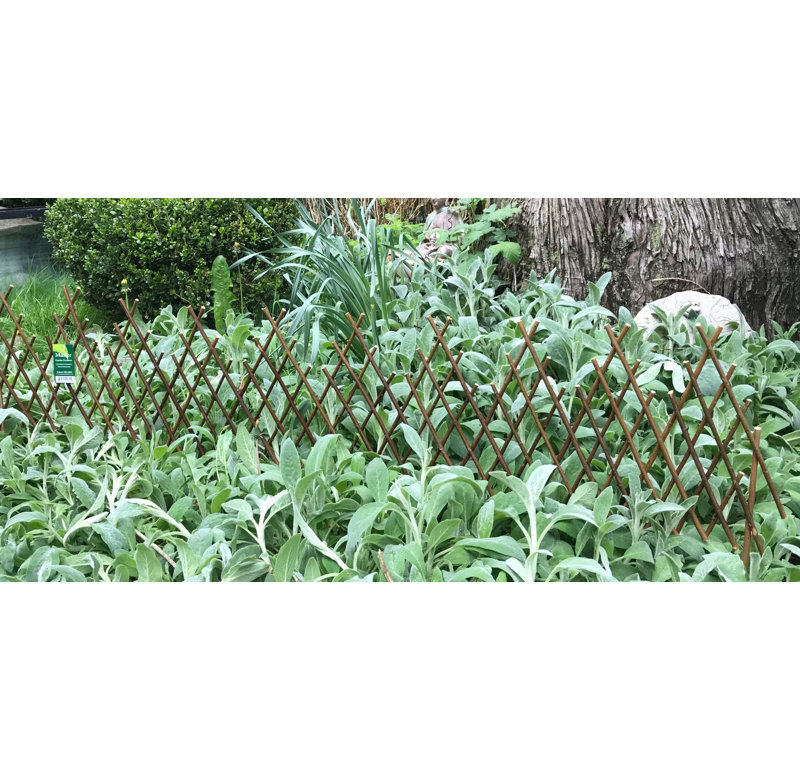 Brown Willow Picket Border Edging