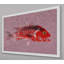 Warren Sellers - Single Picture Frame Painting-19085361