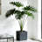 Large Magnesium Oxide Planter Of 4, 16.9" To 9.25" , Grey Modern Planters With Drainage For Patio Decor 14.37" 11.6" Style Balcony And Outdoor