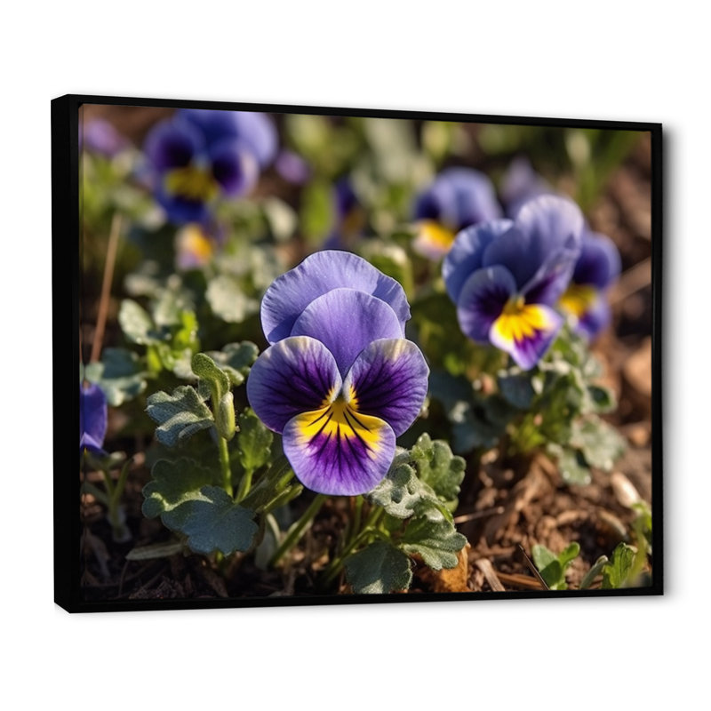 «Purple Yellow Pansies Harmony I» sur toile, H 16 po x l 32 po x P 1 po, Cadre flottant noir