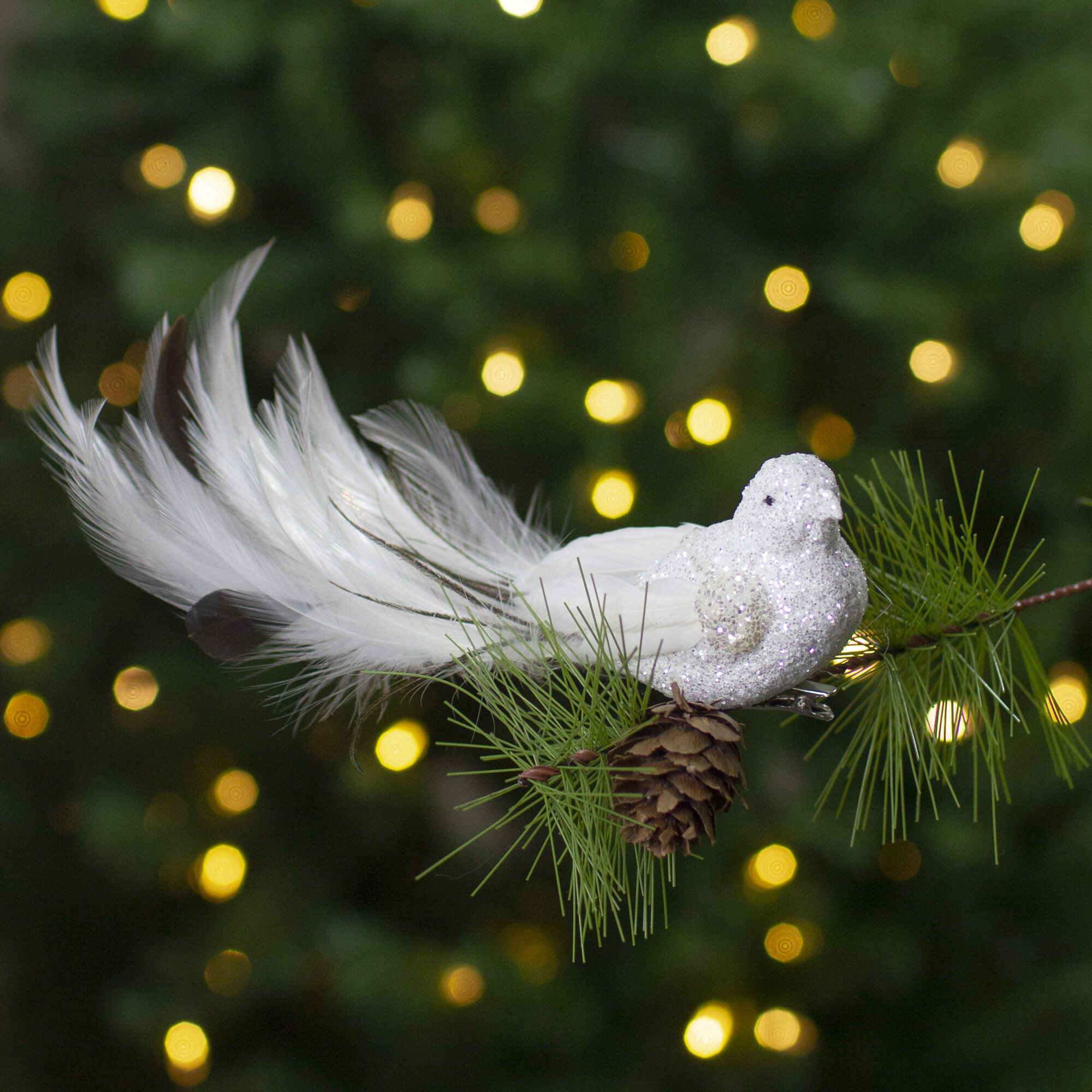 Northlight 8 White and Black Glittered Bird with Feather Tail Christmas  Ornament with Clip