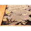 One-of-a-Kind Rectangle 6'5" X 10'1" Area Rug