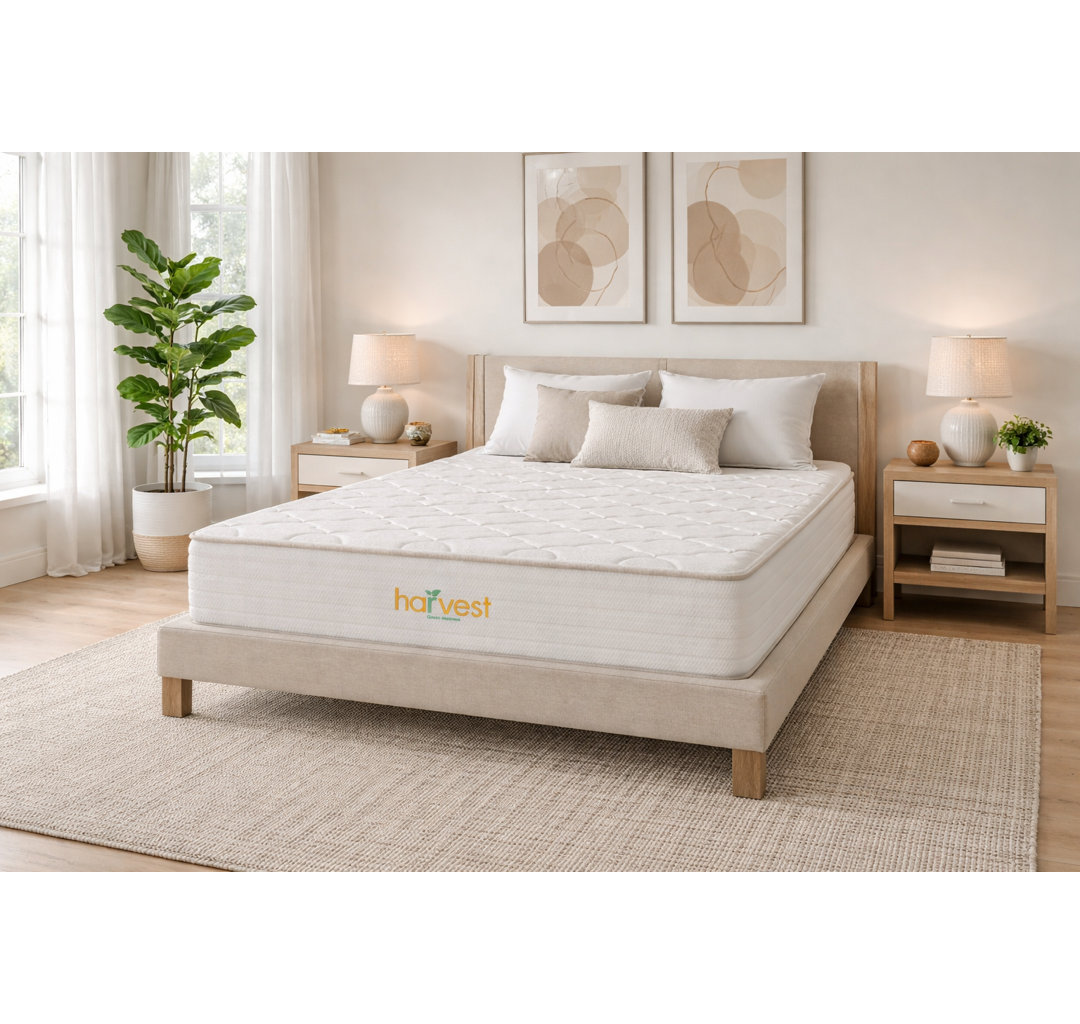 10" Medium Hybrid Mattress Harvest Green Mattress Mattress