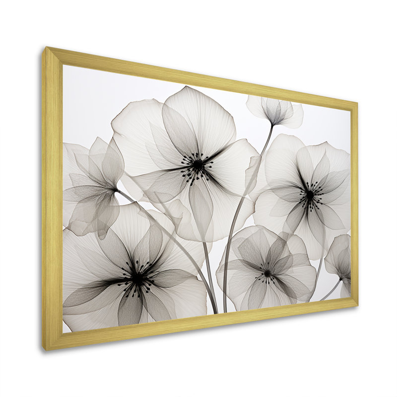 «Black and White Morning Glory Speed - Morning Glory», reproduction d'art sur toile, H 30 po x l 40 po x P 1,5 po
