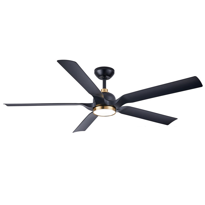Kaveesh 60'' Ceiling Fan with LED Lights, Black