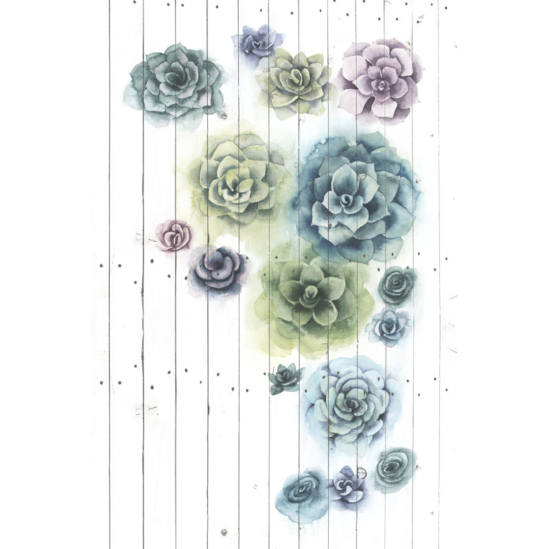 Shiplap Succulent Cluster I - Wrapped Canvas Print, 46cm H x 30cm W x 3.8cm D