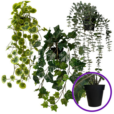 Faux lierre en pot