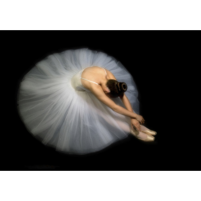 Wrapped Canvas Print, 76.2 cm H x 50.8 cm W