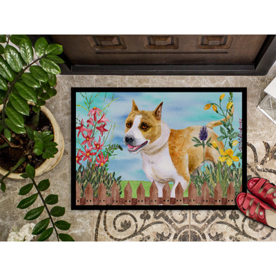 Tapis de porte d’extérieur antidérapant à ressorts american staffordshire