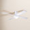 52" Ceiling Fan with LED Light Kit