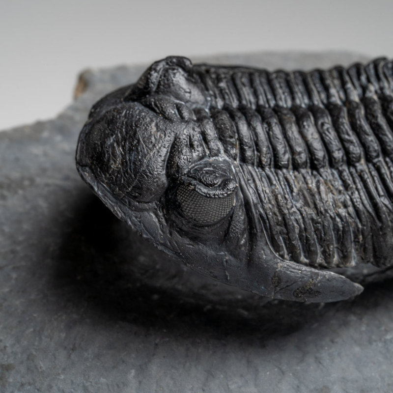 Stone Decorative Object