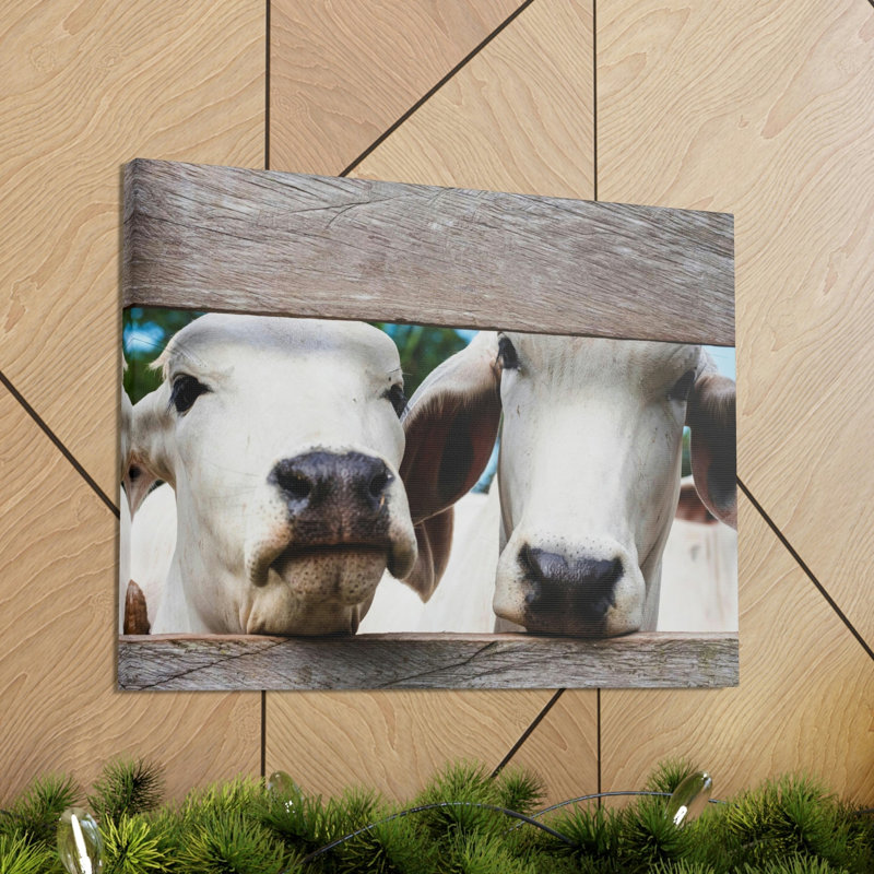 No Frame Print on Canvas, 18cm H x 24cm W