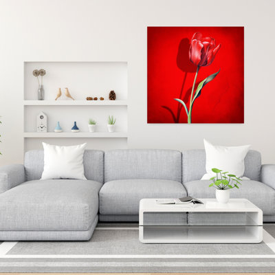 Bold Red Tulip Bold Delicate Dramatic Tulip Flower Nature Wall Art