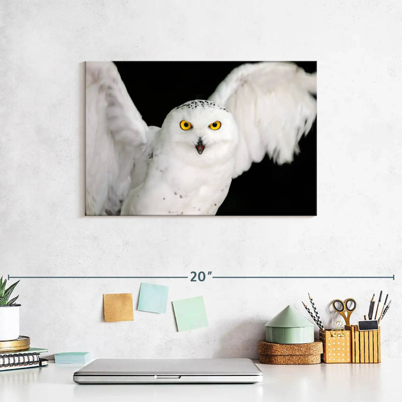 Brampt White Owl, 8" H x 12" W