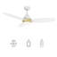 Ventilateur de plafond intelligent de 122 cm (48 po) à moteur CC avec lumière, télécommande et tige de suspension