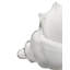 Triton Shell Blown Glass-1592586704